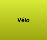 Velo